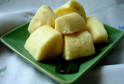 Beberapa Manfaat Tapai Bagi Kesehatan Tubuh