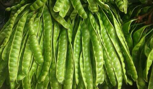 Meski Bau, Petai Juga Baik Untuk Kesehatan Dan Kecantikan Lho