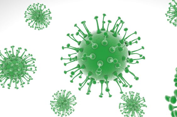 APA SIH BEDANYA SARS DAN COVID-19